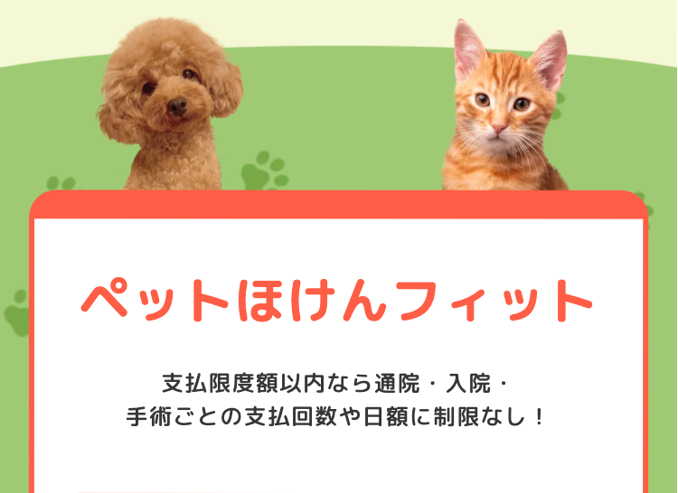 ペットほけんフィット
支払限度額以内なら通院・入院・
手術ごとの支払回数や日額に制限なし!