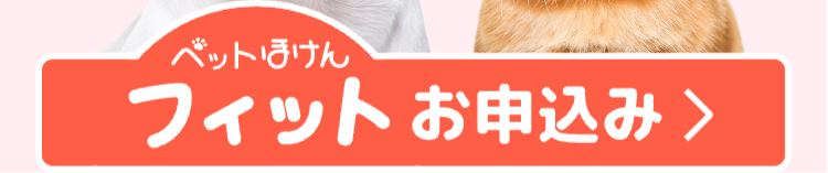 ベットほけん
フィットお申込み>