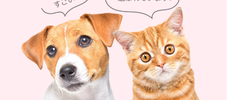 ◎FPC
ペット保険を乗り換えた
お客様の満足度
(97.4%)
すごい!
乗り換え先で
選ばれています!