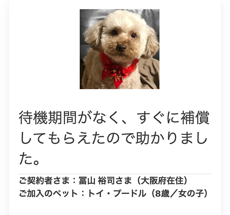 待機期間がなく、 すぐに補償
してもらえたので助かりまし
た。
ご契約者さま : 富山 裕司さま (大阪府在住)
ご加入のペット:トイ・プードル (8歳/女の子)