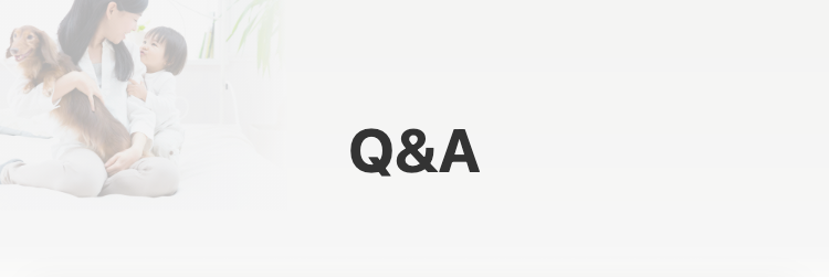 Q&A