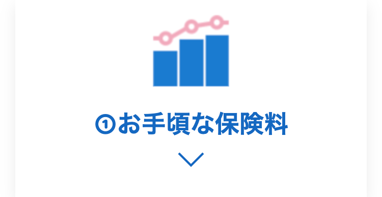 お手頃な保険料