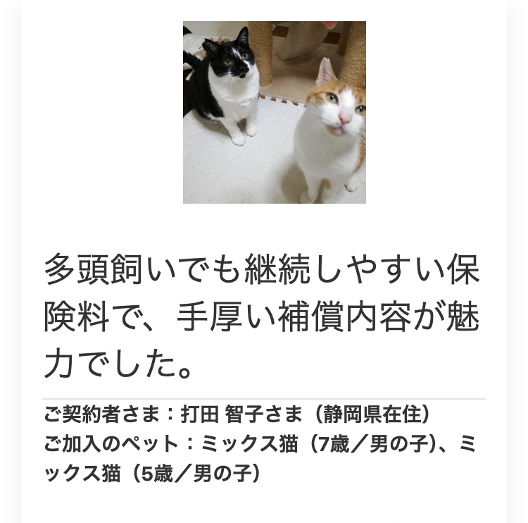 多頭飼いでも継続しやすい保
険料で、 手厚い補償内容が魅
力でした。
ご契約者さま: 打田 智子さま(静岡県在住)
ご加入のペット : ミックス猫 (7歳/男の子)、ミ
ックス猫 (5歳/男の子)