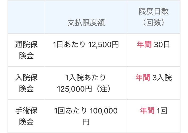 支払限度額
限度日数
(回数)
通院保
険金
1日布大) 12,500円
年間 30日
入院保
入院あたり
年間 3入院
険金
125,000円(注)
手術保
10 100,000
年間 1回
険金
円