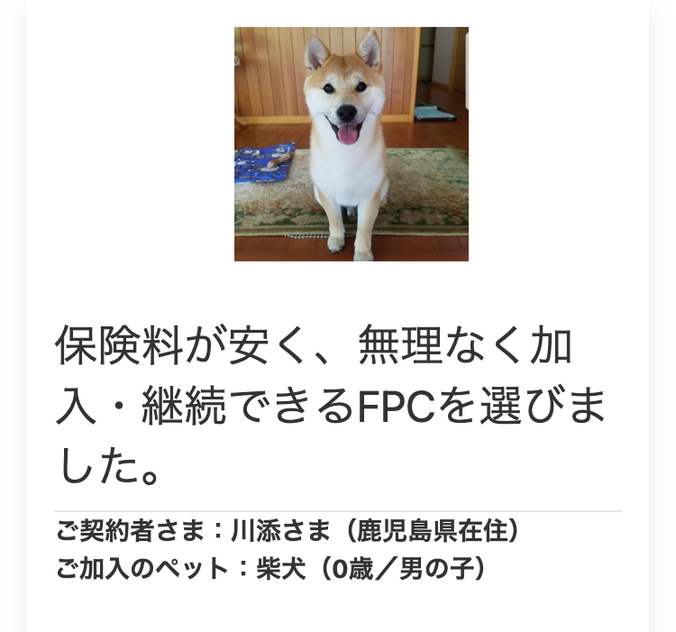 保険料が安く、 無理なく加
入・継続できるFPCを選びま
した。
ご契約者さま : 川添さま (鹿児島県在住)
ご加入のペット : 柴犬 (0歳/男の子)