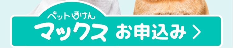 ベットほけん
マックスお申込み>