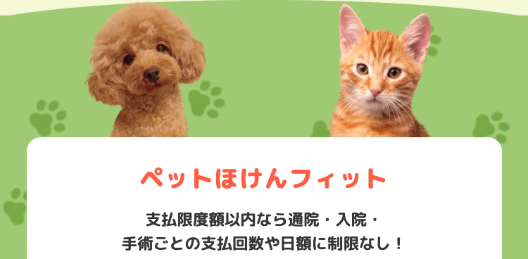 ペットほけんフィット
支払限度額以内なら通院・入院・
手術ごとの支払回数や日額に制限なし!