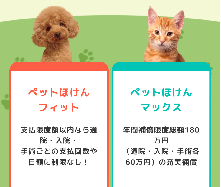 ペットほけん
フィット
ペットほけん
マックス
支払限度額以内なら通
入院・
年間補償限度総額180
万円
手術ごとの支払回数や
日額に制限なし!
(通院・入院・手術各
60万円)の充実補償
